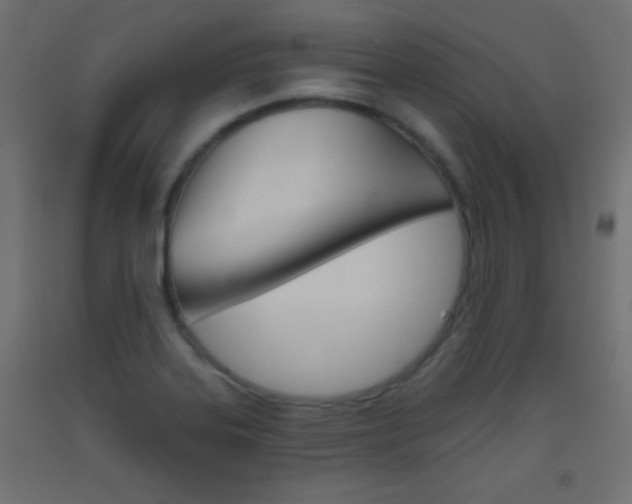 X0000093521323200710121120