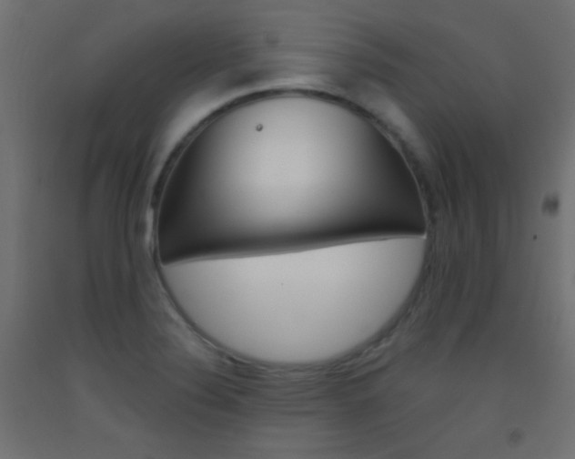 X0000093521324200710121120