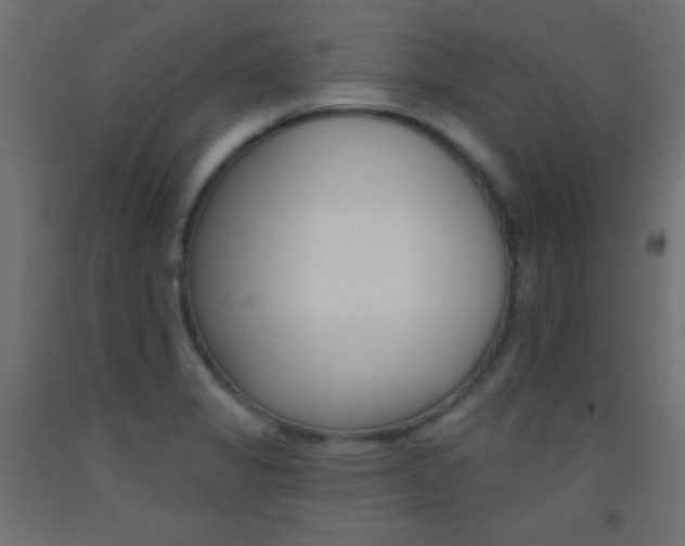 X0000093521325200710121120