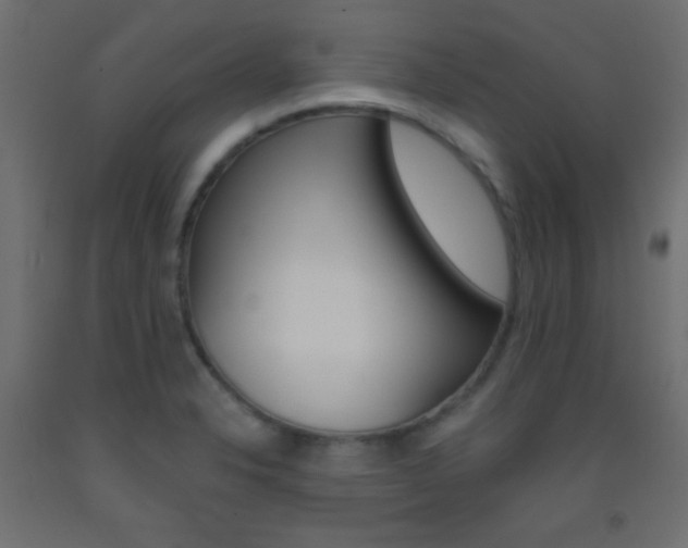 X0000093521326200710121120