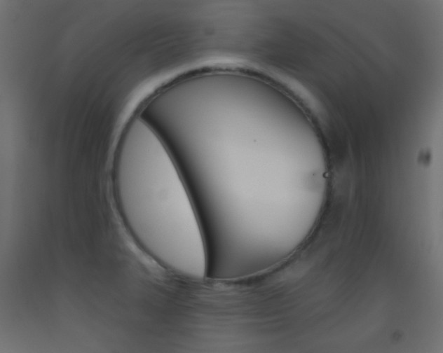 X0000093521327200710121120