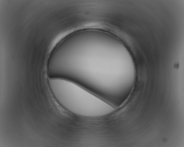 X0000093521328200710121120