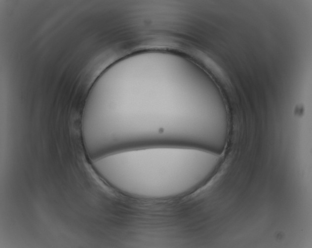 X0000093521329200710121120