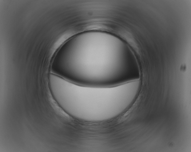 X0000093521330200710121120