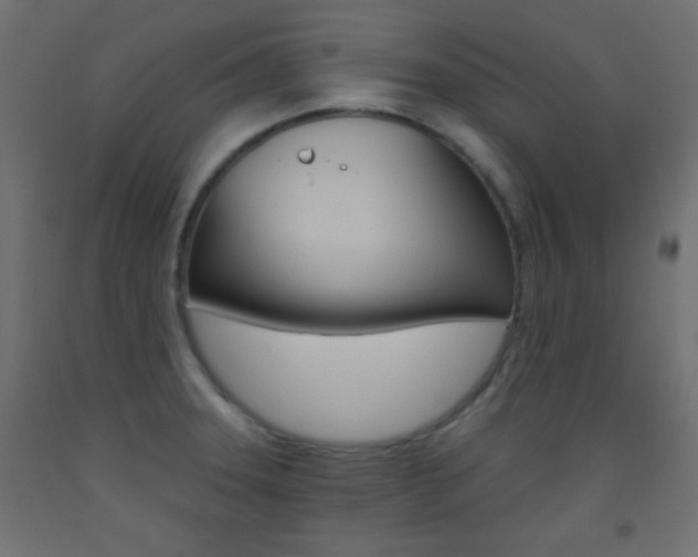 X0000093521331200710121120
