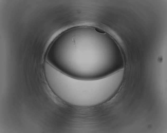 X0000093521332200710121120