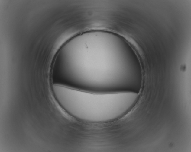 X0000093521333200710121120