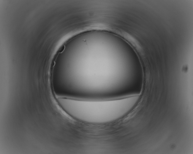 X0000093521334200710121120
