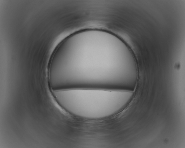 X0000093521335200710121120