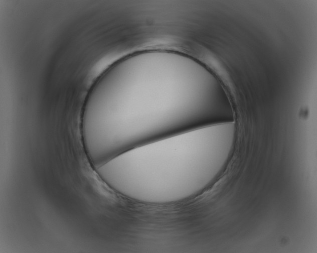 X0000093521336200710121120