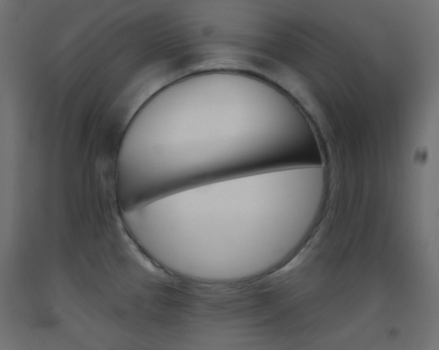 X0000093521337200710121120