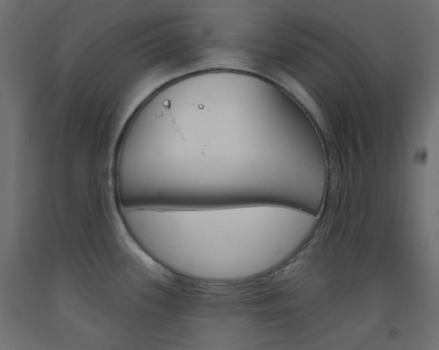 X0000093521339200710121120