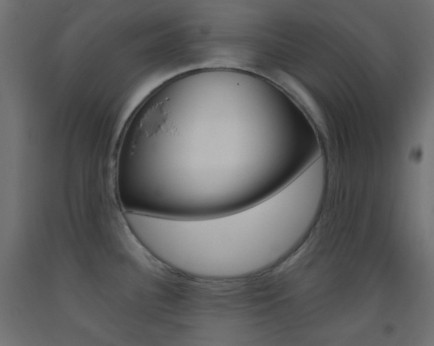X0000093521340200710121120