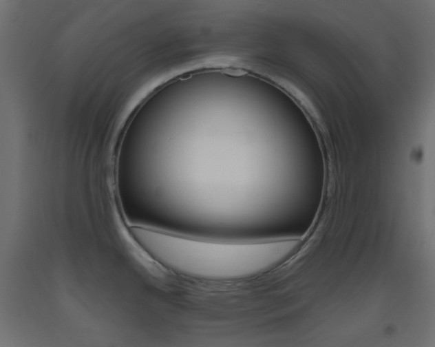 X0000093521342200710121120