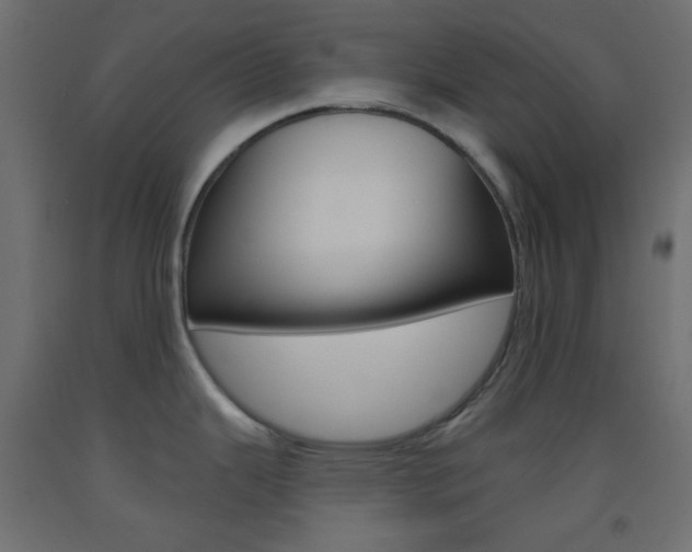 X0000093521343200710121120