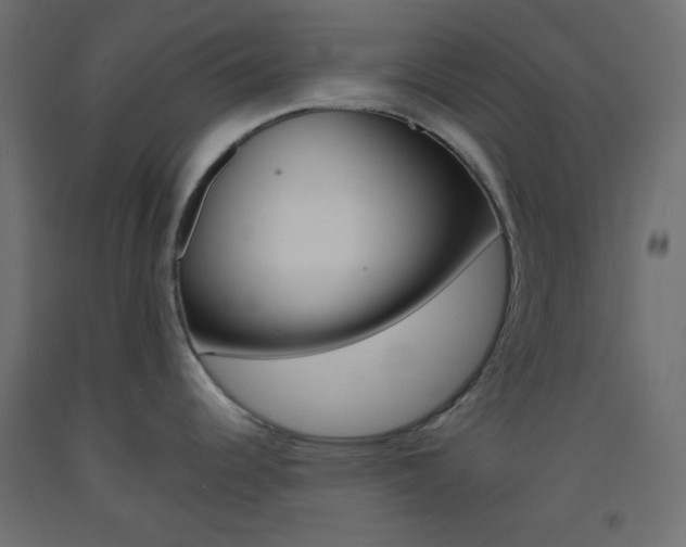 X0000093521344200710121120