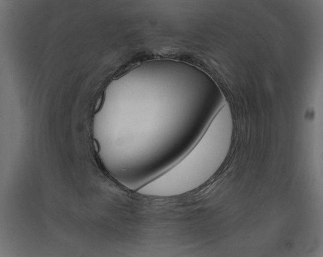 X0000093521345200710121119