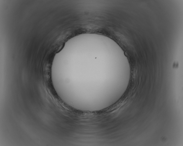 X0000093521346200710121119