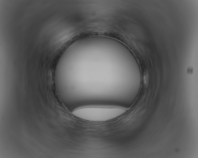 X0000093521347200710121119