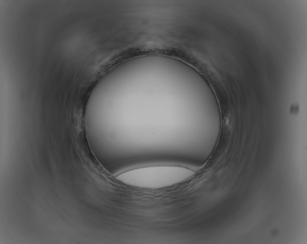 X0000093521348200710121119
