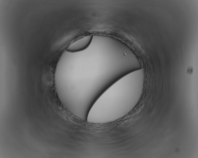 X0000093521350200710121119