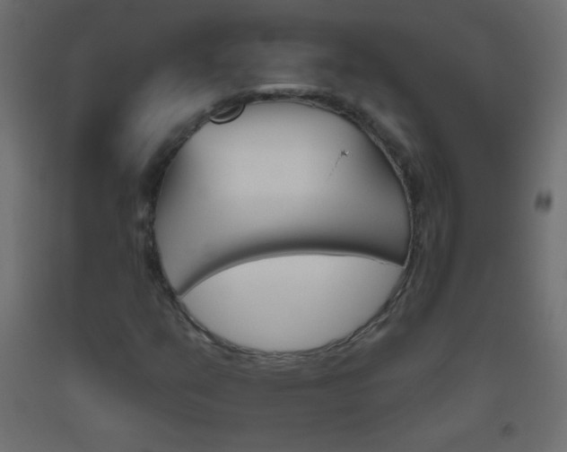 X0000093521351200710121119