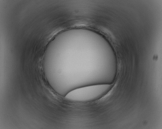 X0000093521353200710121119