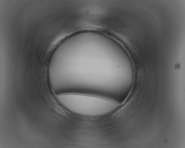 X0000093521355200710121119