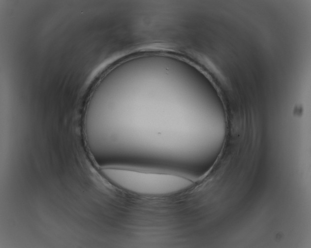 X0000093521356200710121119