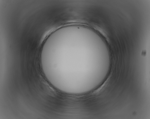 X0000093521357200710121119