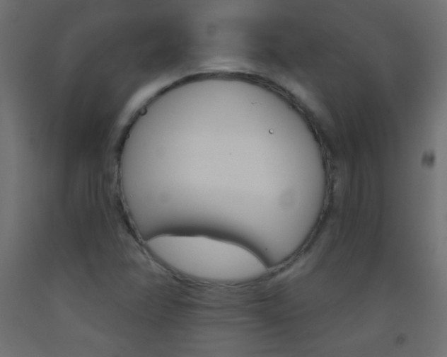 X0000093521358200710121119
