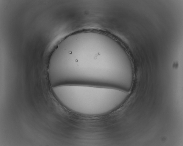 X0000093521359200710121119