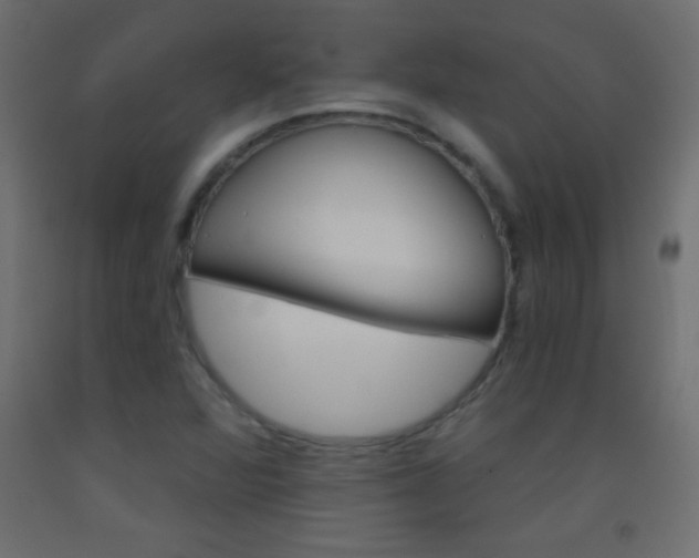 X0000093521360200710121119
