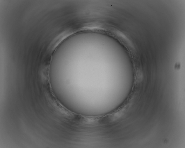 X0000093521361200710121119