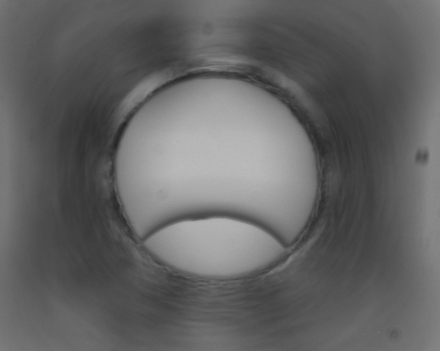 X0000093521362200710121119