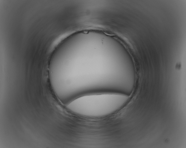 X0000093521363200710121119