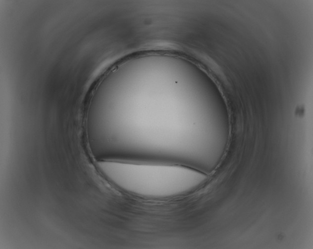 X0000093521364200710121119