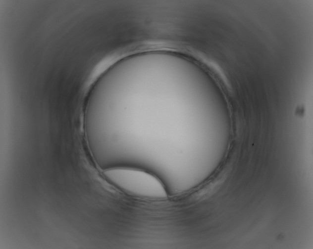 X0000093521365200710121119