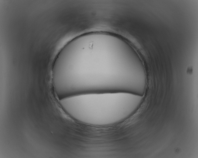 X0000093521366200710121119