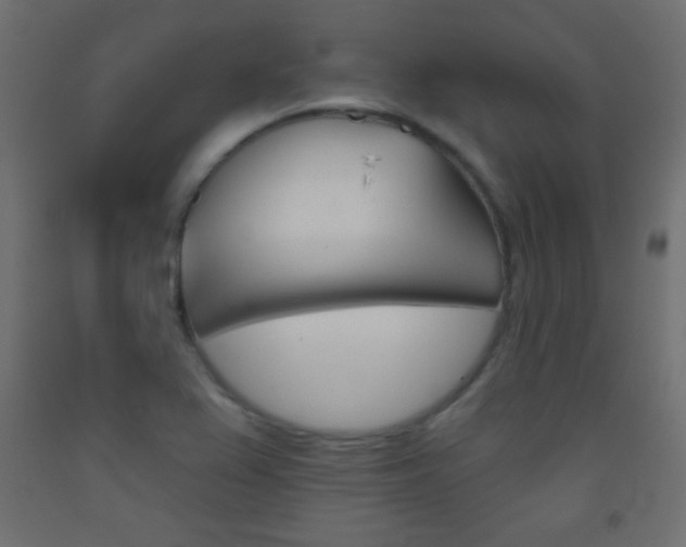 X0000093521367200710121119
