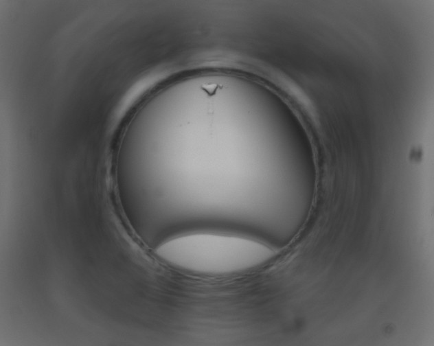 X0000093521368200710121119