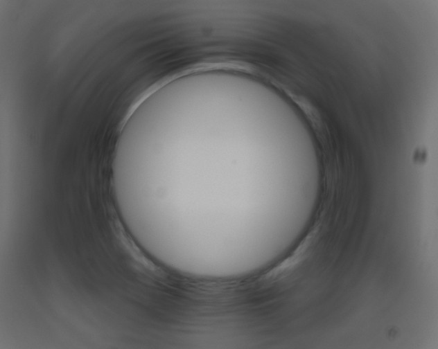 X0000093521369200710121119
