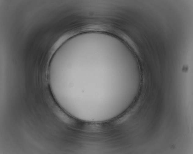 X0000093521370200710121119