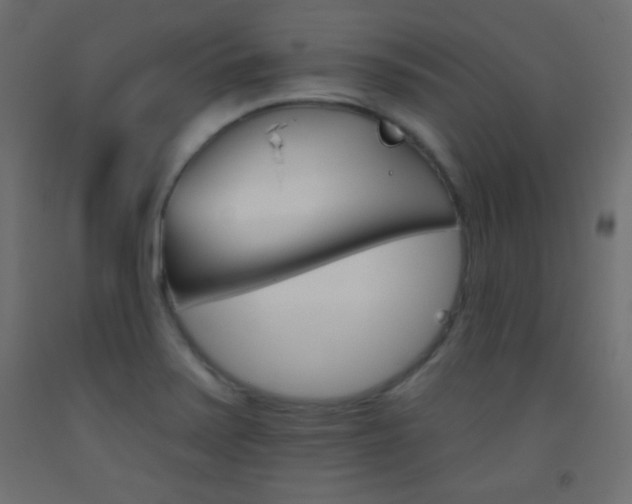 X0000093521371200710121119
