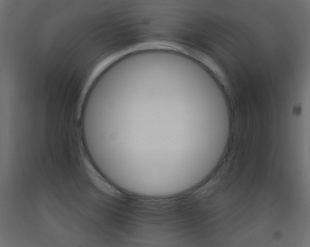 X0000093521372200710121119