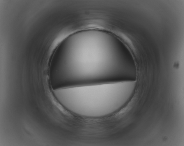 X0000093521373200710121119