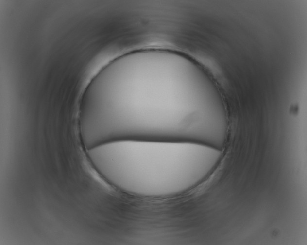 X0000093521374200710121119