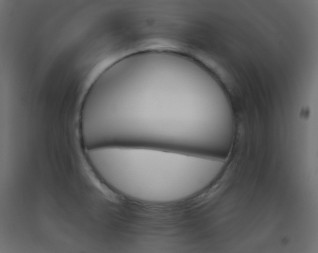X0000093521375200710121119