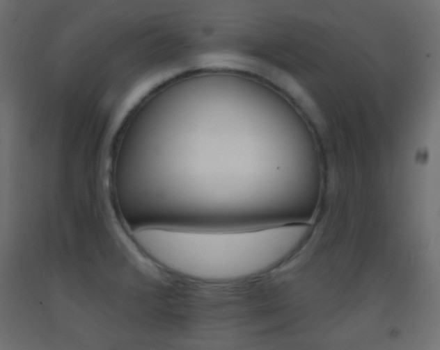 X0000093521376200710121119