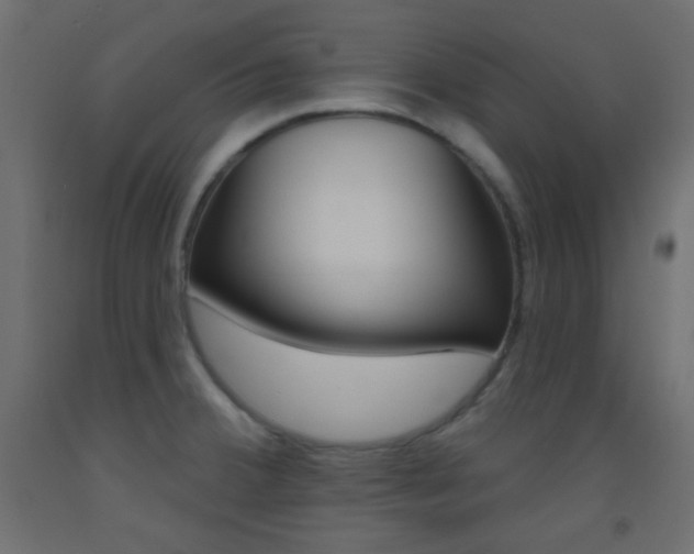 X0000093521380200710121119